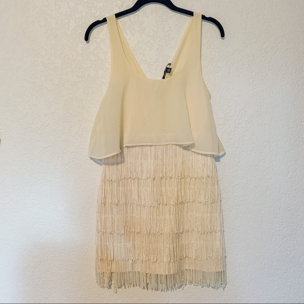 AEO Flapper Fringe Dress